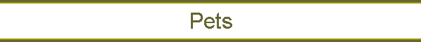 Pets